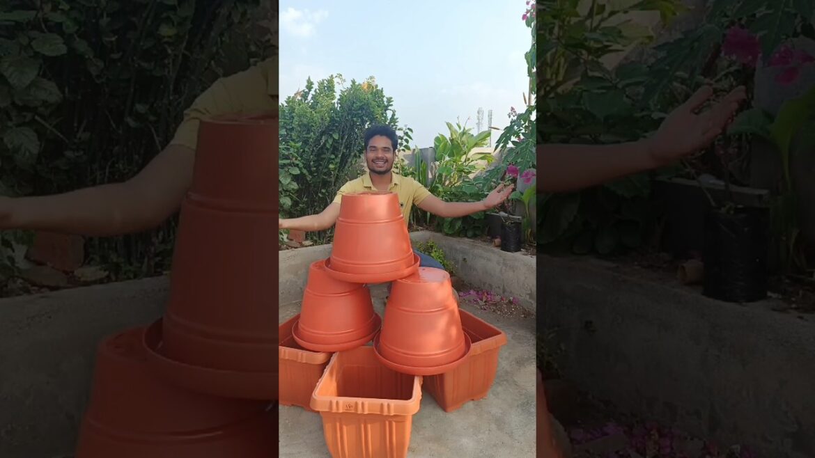 Pots ki Shopping 😍 #indianfarmer #indianterracegardening #gardening #phoolpatte #indiangardening