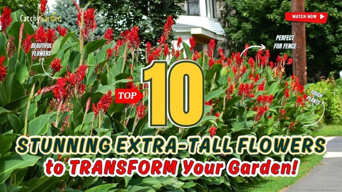 TOP 10 STUNNING EXTRA-TALL FLOWERS to TRANSFORM Your Garden! π‘ππΈ // Grdening Ideas TOP 10 STUNNING EXTRA-TALL FLOWERS to TRANSFORM Your Garden! π‘ππΈ // Grdening Ideas