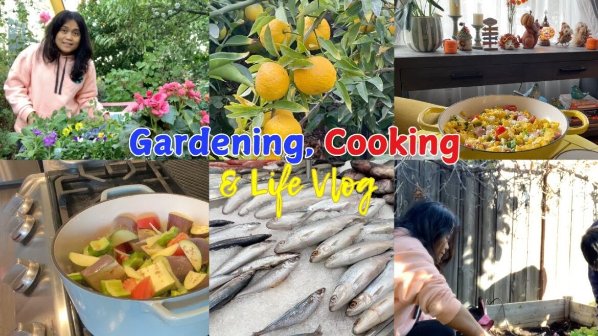 Filipino Food, Garden and Life Vlog #4 | Living in Los Angeles Filipino Food, Garden and Life Vlog #4 | Living in Los Angeles