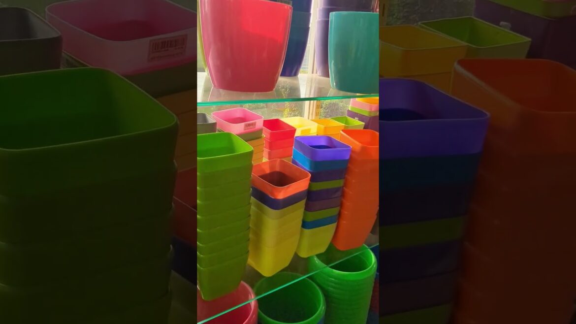 Best Flower pots for Home Gardening # kadiyapu Lanka nursery#