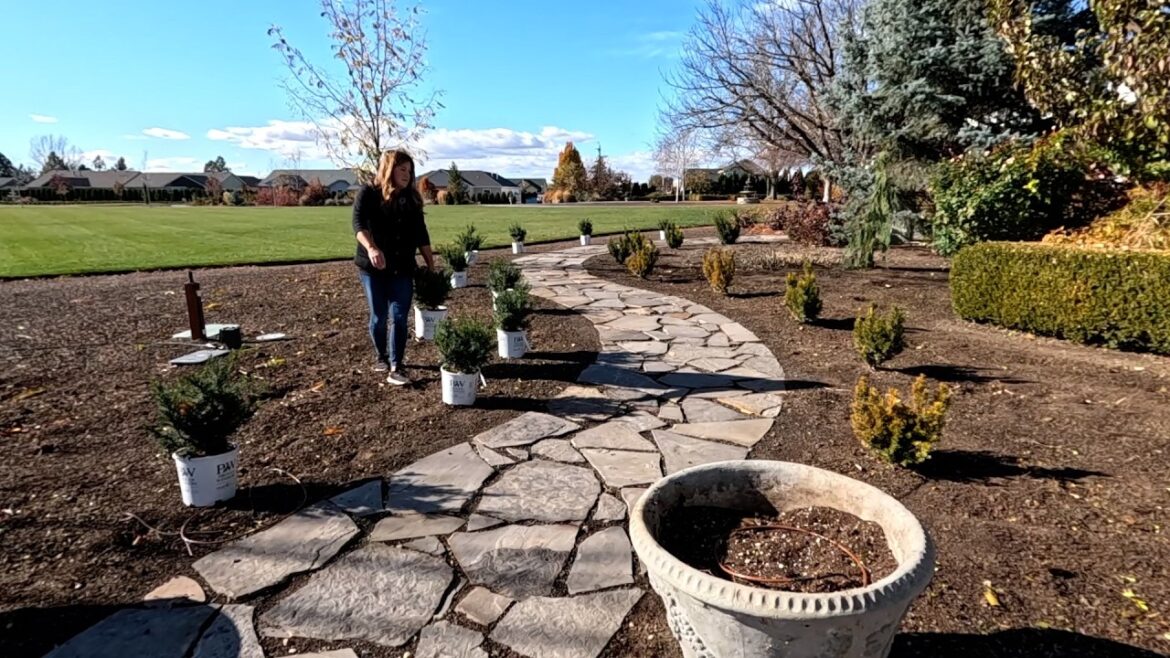 We’re Still Planting! Yews, Shrubs, Grasses & a Crabapple! 🍂🌾🌳 // Garden Answer