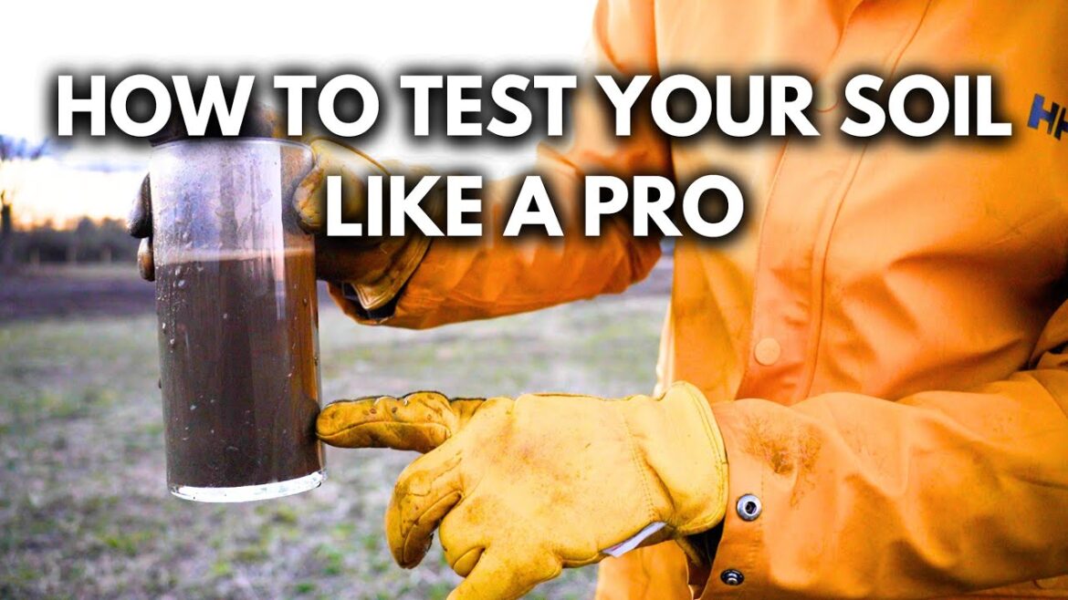 Don’t Start a Garden Without Doing THIS First!