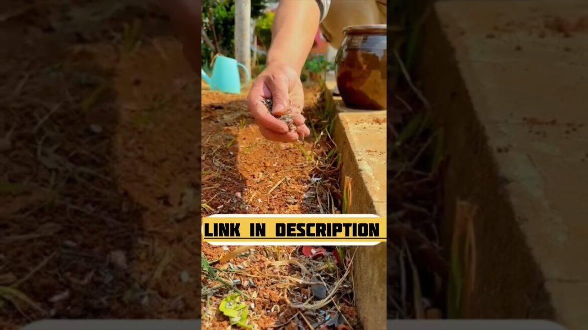 100 Seeds + 5 Grow Bags Pack: Start Your Gardening Today! #vegetableseeds #growbags 100 Seeds + 5 Grow Bags Pack: Start Your Gardening Today! #vegetableseeds #growbags