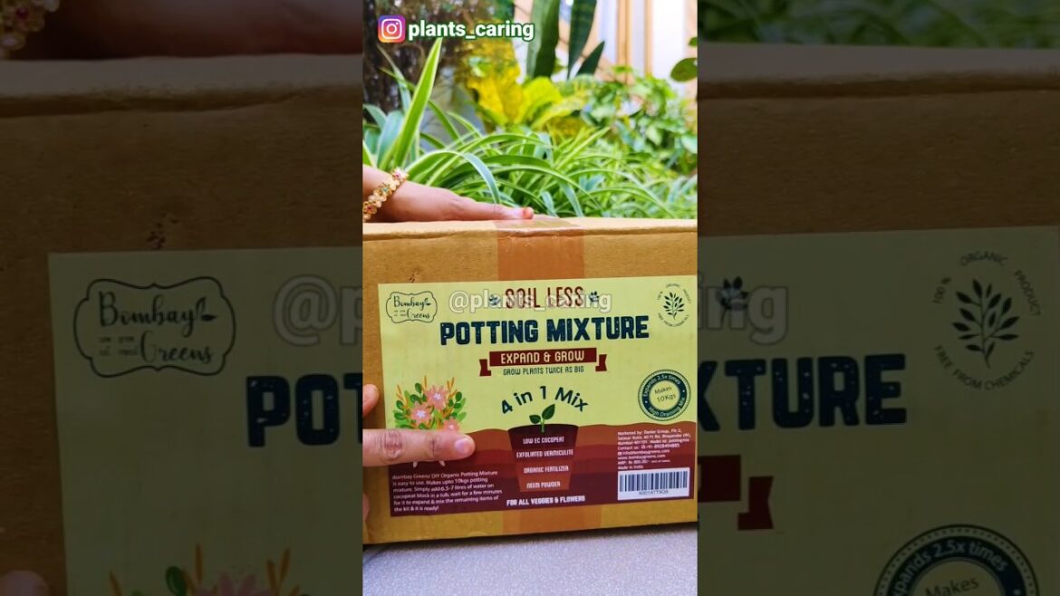 Soil less potting mix #soil #plantscare #indoorplants #pottingmix @bombaygreens #indoorgardening Soil less potting mix #soil #plantscare #indoorplants #pottingmix @bombaygreens #indoorgardening