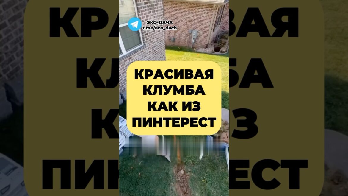 КРАСИВАЯ КЛУМБА КАК ИЗ PINTEREST