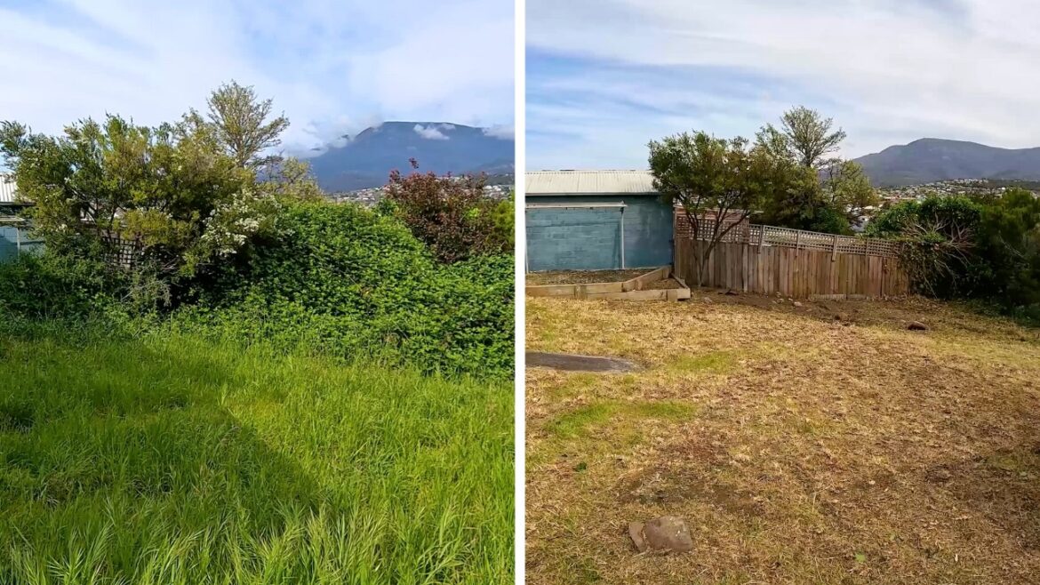 This Backyard Was a JUNGLE - 11 Hours Later, It’s UNRECOGNISABLE!