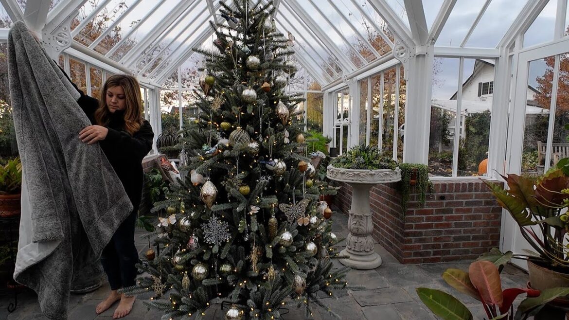 Garden Answer: Setting Up & Decorating the Hartley Christmas Tree! 😍🎄🥰 // Garden Answer Setting Up & Decorating the Hartley Christmas Tree! 😍🎄🥰 // Garden Answer