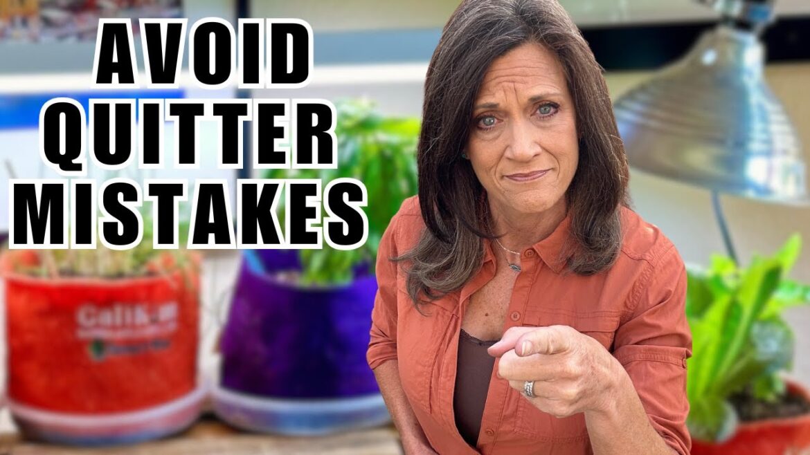 Indoor Garden Fails: 3 Mistakes That’ll Make You Quit