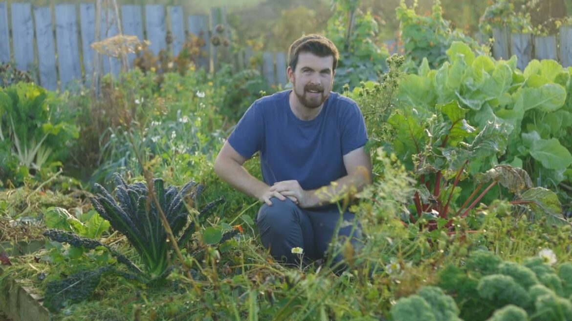 Why I've Stopped Mulching My Beds With Compost