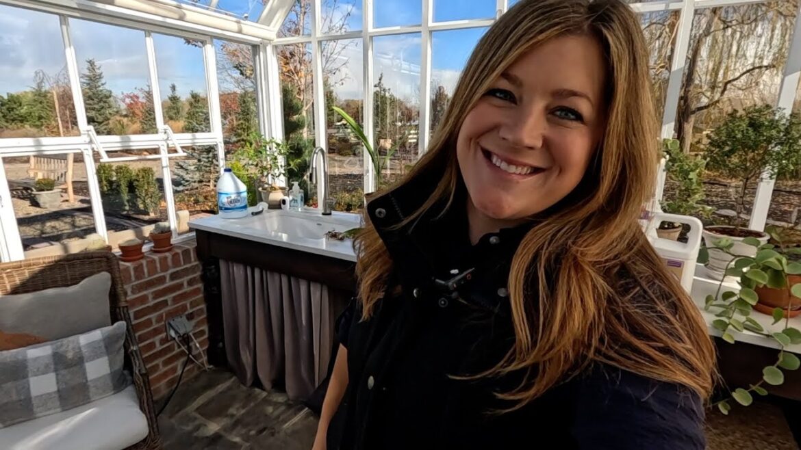 Garden Answer: Dealing with a Mealy Bug Infestation & Reworking a Christmas Arrangement from Last Year! 🪴🤪🎄 Dealing with a Mealy Bug Infestation & Reworking a Christmas Arrangement from Last Year! 🪴🤪🎄