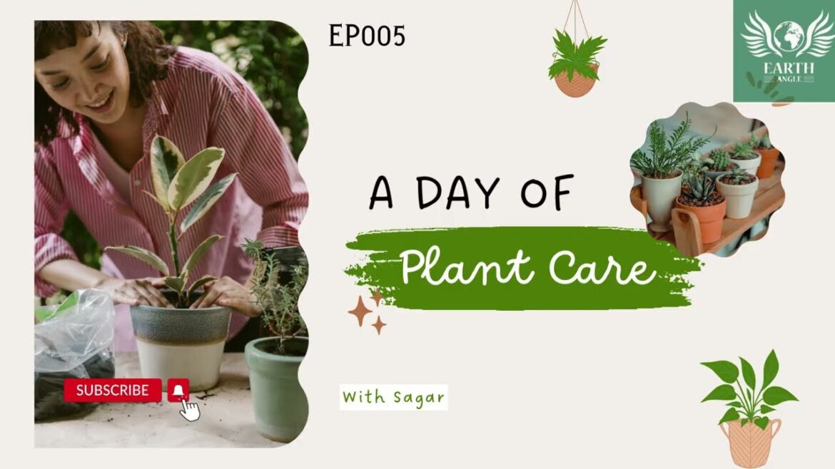 Essential Gardening Tools: A Guide to Elevate Your Garden