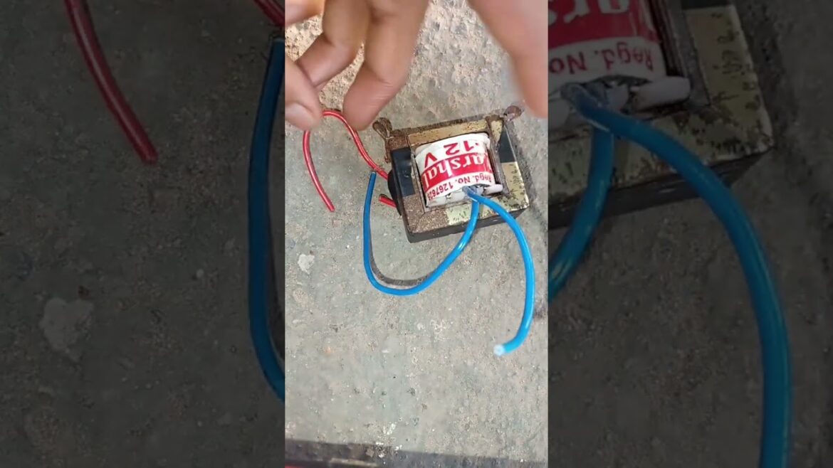 Transformer #music #funny #dcmoter #gardening #bolero