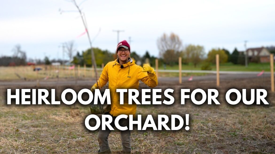 MIgardener: The FIRST Crops We Are Planting at The New Farm! The FIRST Crops We Are Planting at The New Farm!