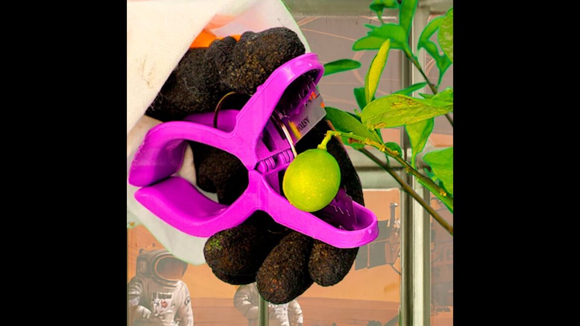 Grow Thriving Plants with These Genius Mars Farming Hacks! 🌱🌌