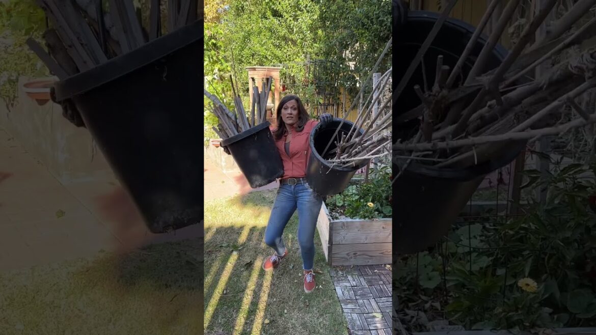 I’m a gardener-of course I…