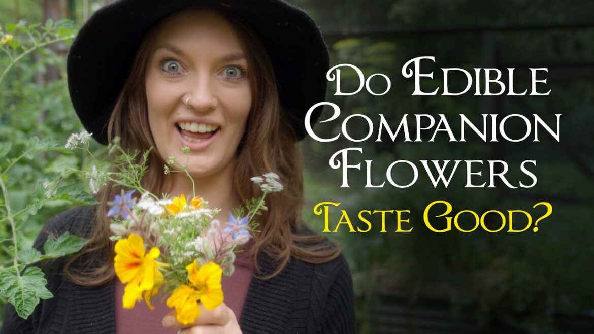 Do edible companion flowers taste any good? I Taste Test 6