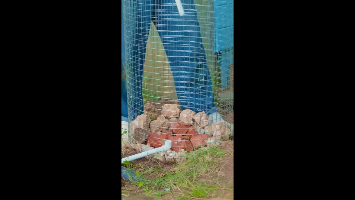 You Need To Try This In Your Backyard (if you have one 😂)