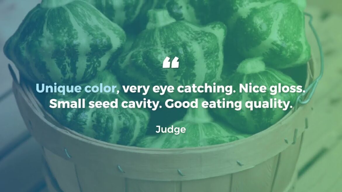 All-America Selections Flowers & Vegetables: AAS Winner Green Lightning Squash: Super-Fast Harvest, Incredible Flavor AAS Winner Green Lightning Squash: Super-Fast Harvest, Incredible Flavor