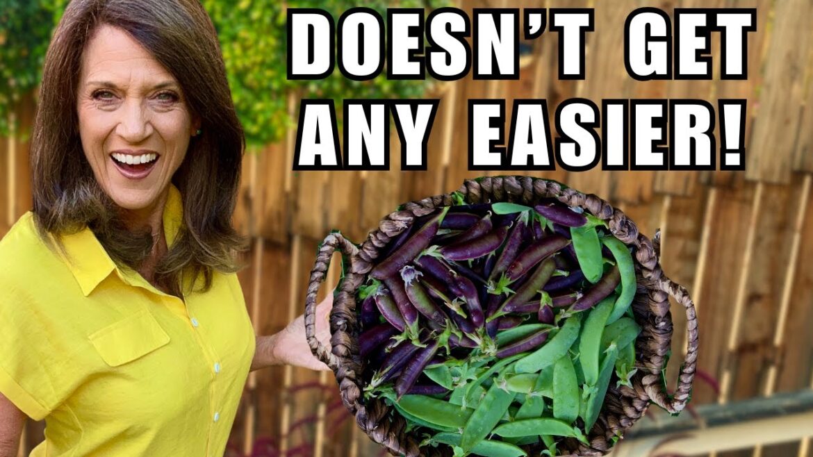 Peas: Doesn’t Get Any Easier