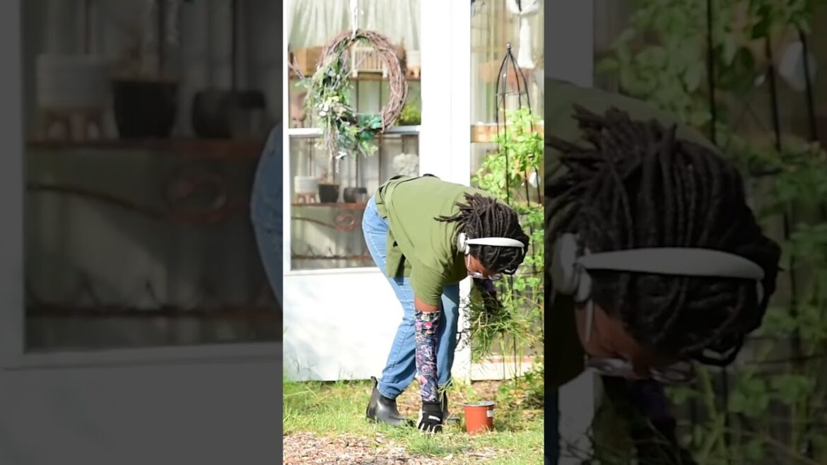 my path to the greenhouse was a mess! my path to the greenhouse was a mess!