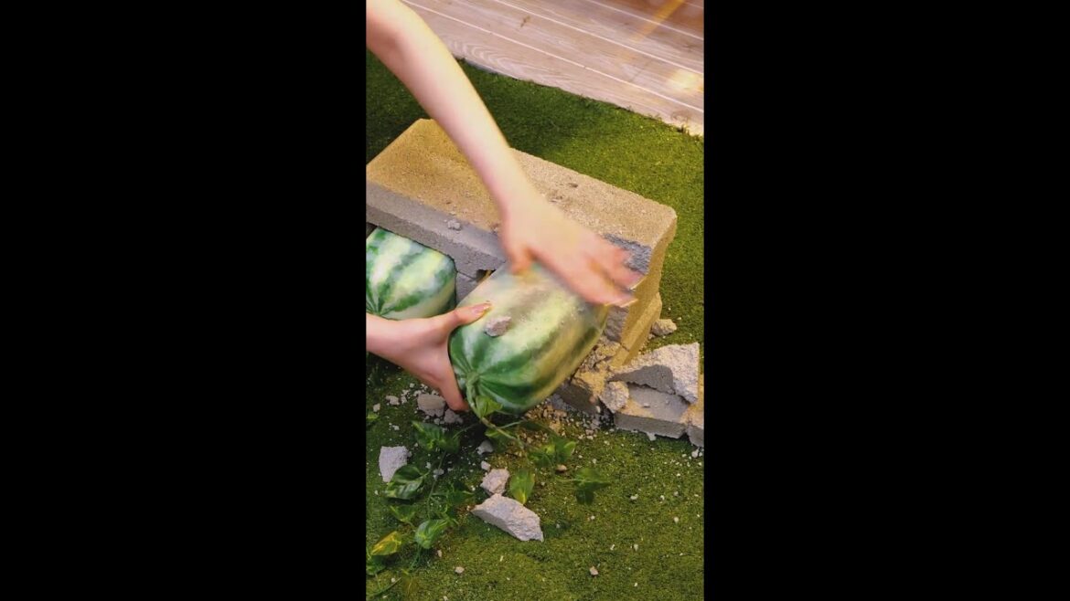 Year-Round Tips for a Flourishing Garden 🌿 #beauty