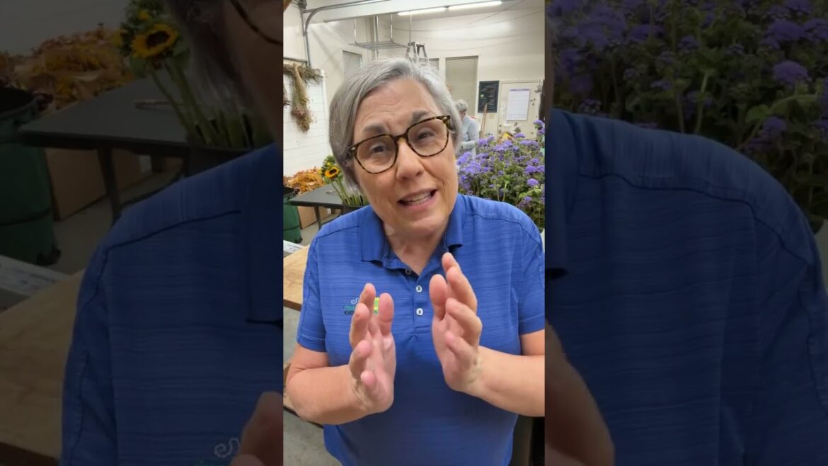 Meet me on YouTube tonight 8pm going inside Farmer-Florist School