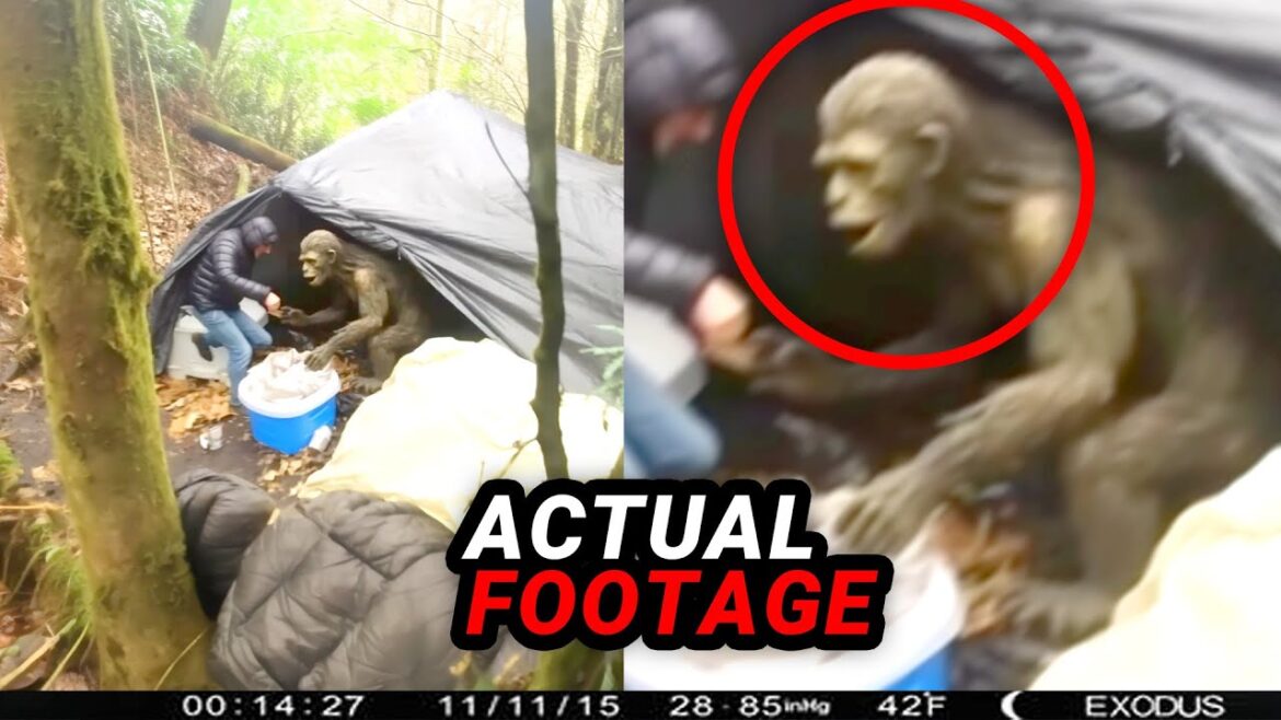 These TERRIFYING Camping Videos Will DISTURB You! These TERRIFYING Camping Videos Will DISTURB You!