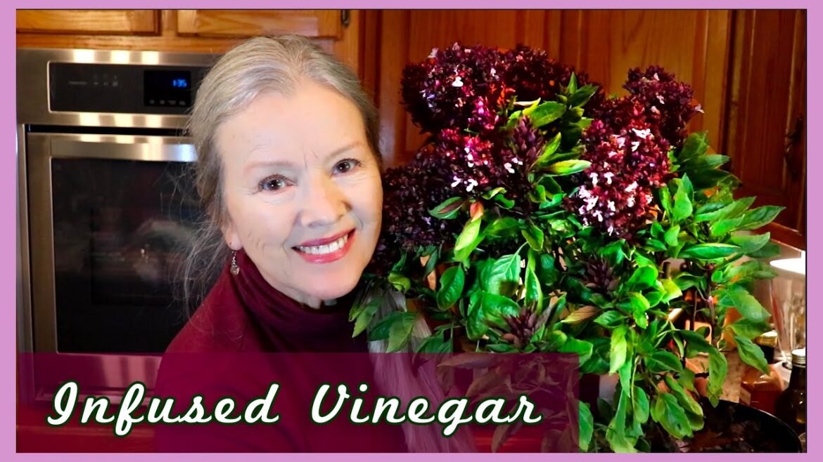 Basil Infused Vinegar | How to make with gorgeous Cardinal Basil!