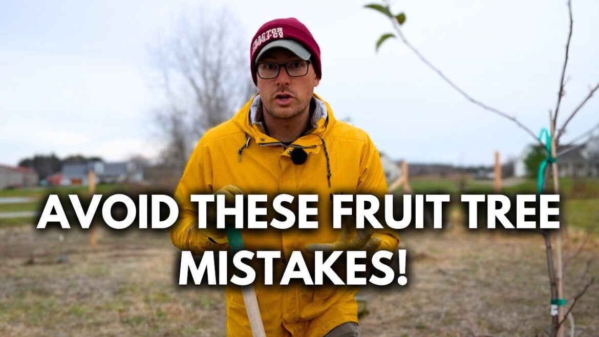 The 7 Most COMMON Costly Mistakes Beginners Make When Growing Fruit Trees!