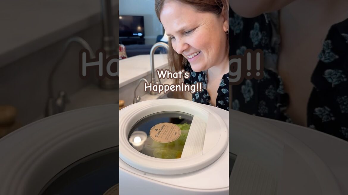 It’s Good Stuff! @vego_garden #vegogarden #composter #composter #kitchengarden #shorts