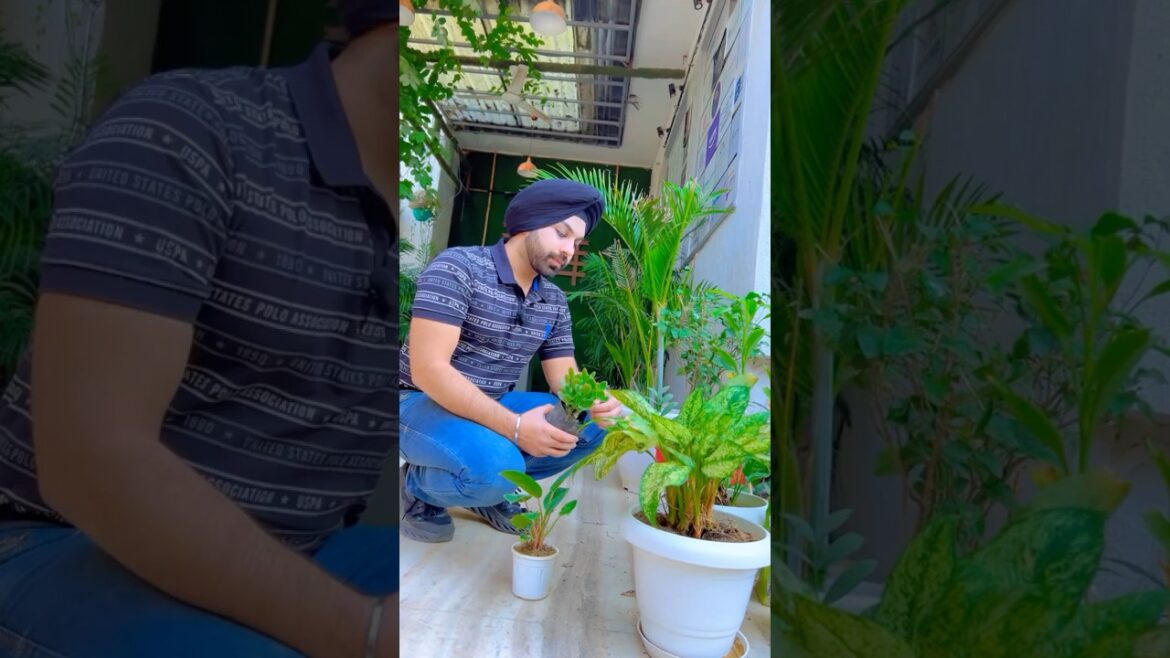 Business Idea 💡 Organic Farming Business. Start selling organic products. #organicfarming #organic