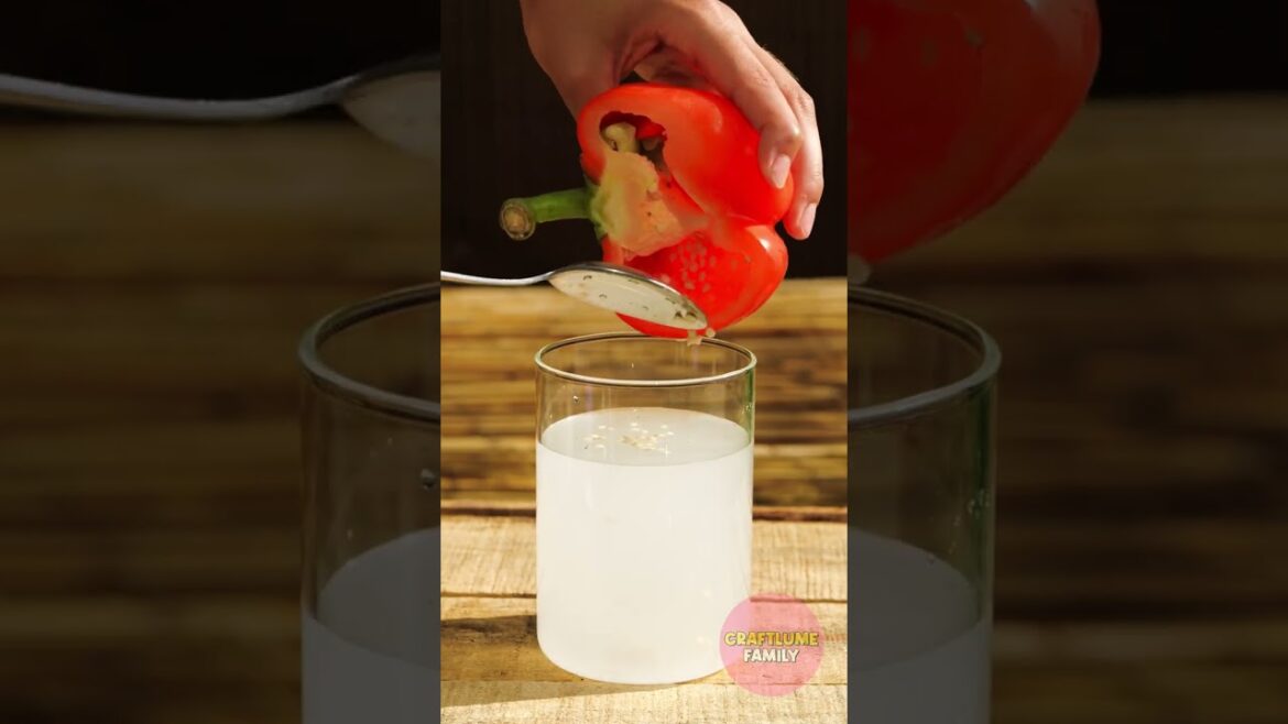 Effortless Gardening: Time-Saving Hacks for a Low-Maintenance Garden! #popblox