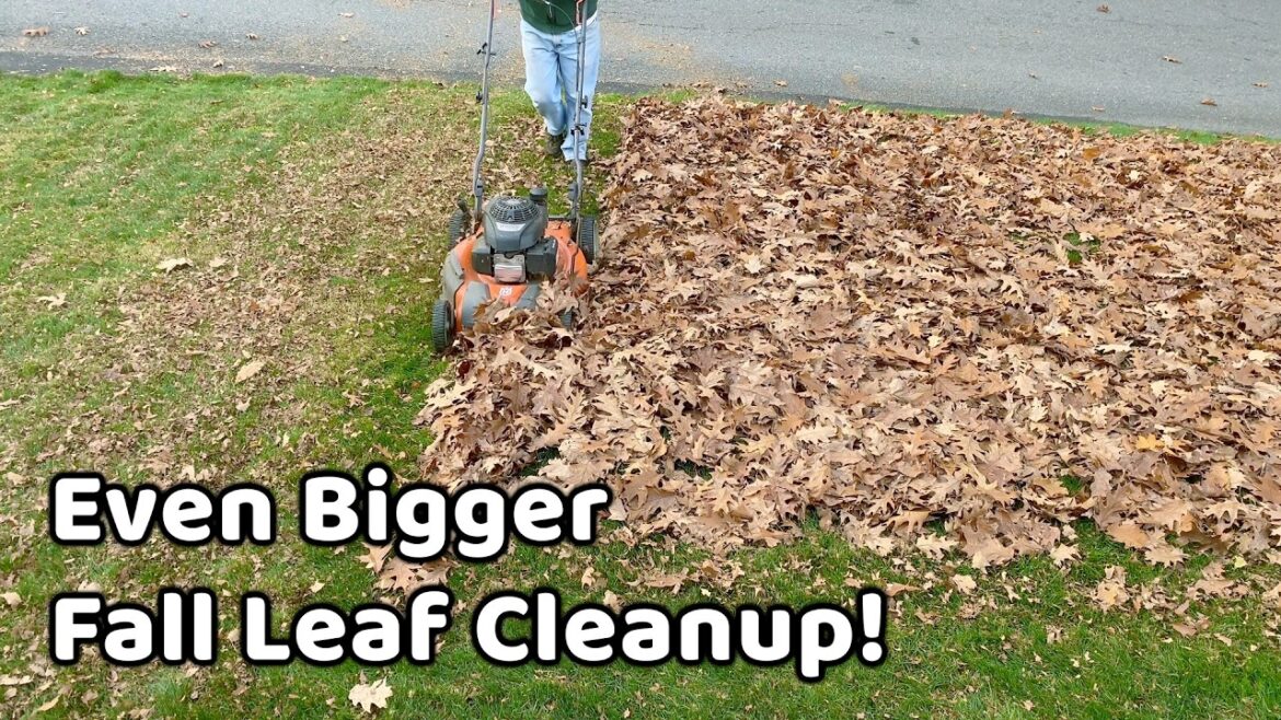 Even Bigger Fall Leaf Cleanup! - Early November