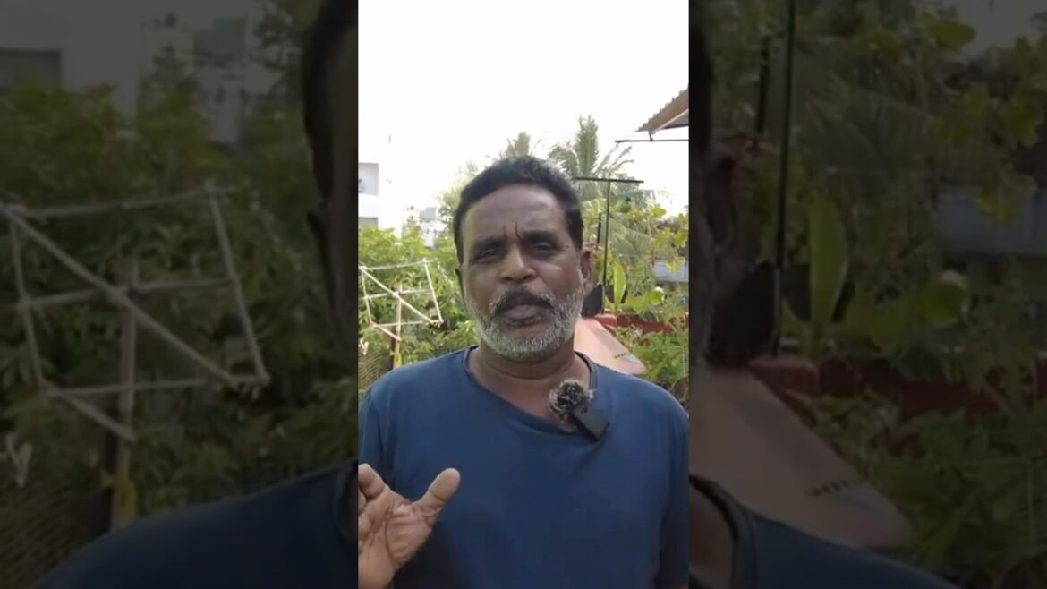 Garden Tour part-1 | Gardening ideas for home in Telugu |  #gardentour  #shorts  #reels #organic