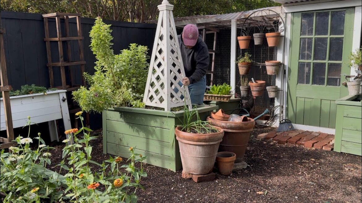Some Quick Garden Work & Homemade Pesto 🌿|| Visit Our Garden Some Quick Garden Work & Homemade Pesto 🌿|| Visit Our Garden