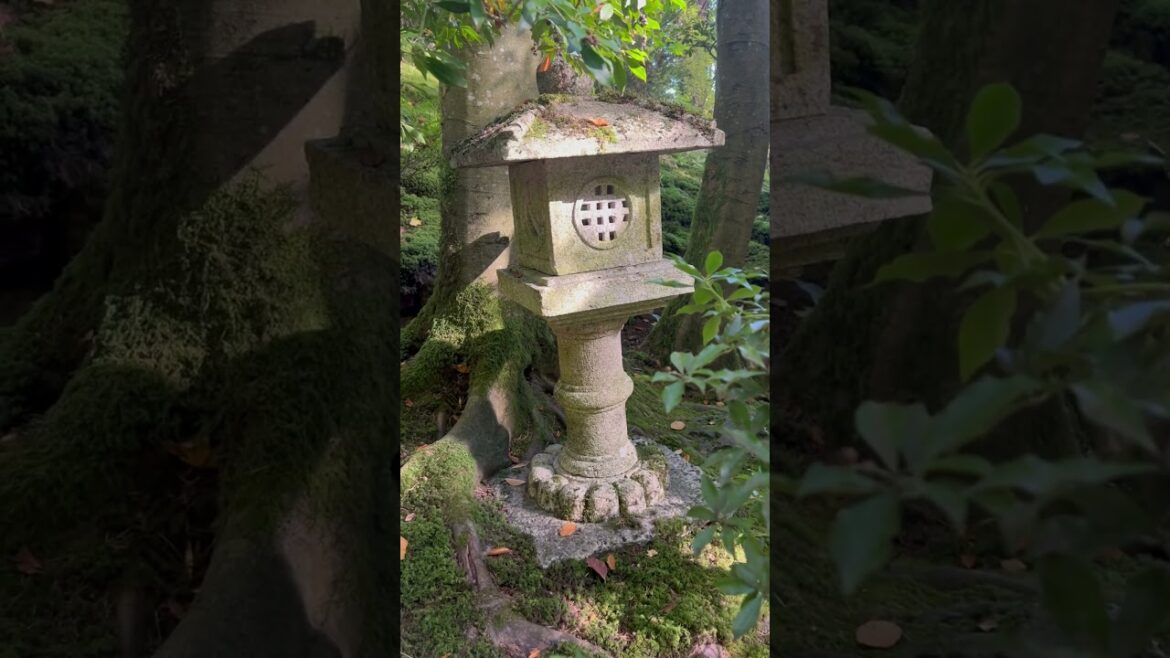 Japanese Garden In Portland