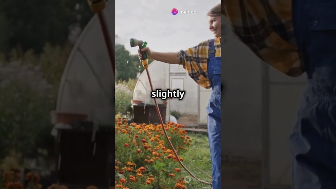 10 Quick Gardening Tips for French Marigolds & Strawberries🌱🍓 #garden #gardeningtips #gardeningideas 10 Quick Gardening Tips for French Marigolds & Strawberries🌱🍓 #garden #gardeningtips #gardeningideas