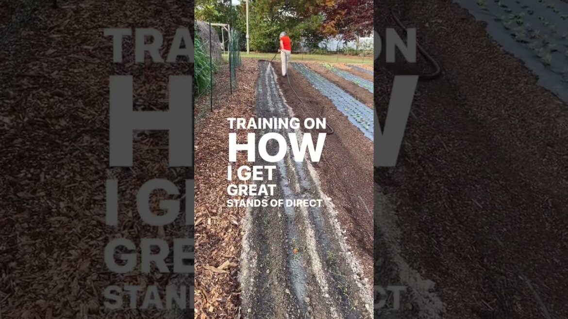 School BONUS expires tonight! I’d love to teach you how to become a flower farmer School BONUS expires tonight! I’d love to teach you how to become a flower farmer