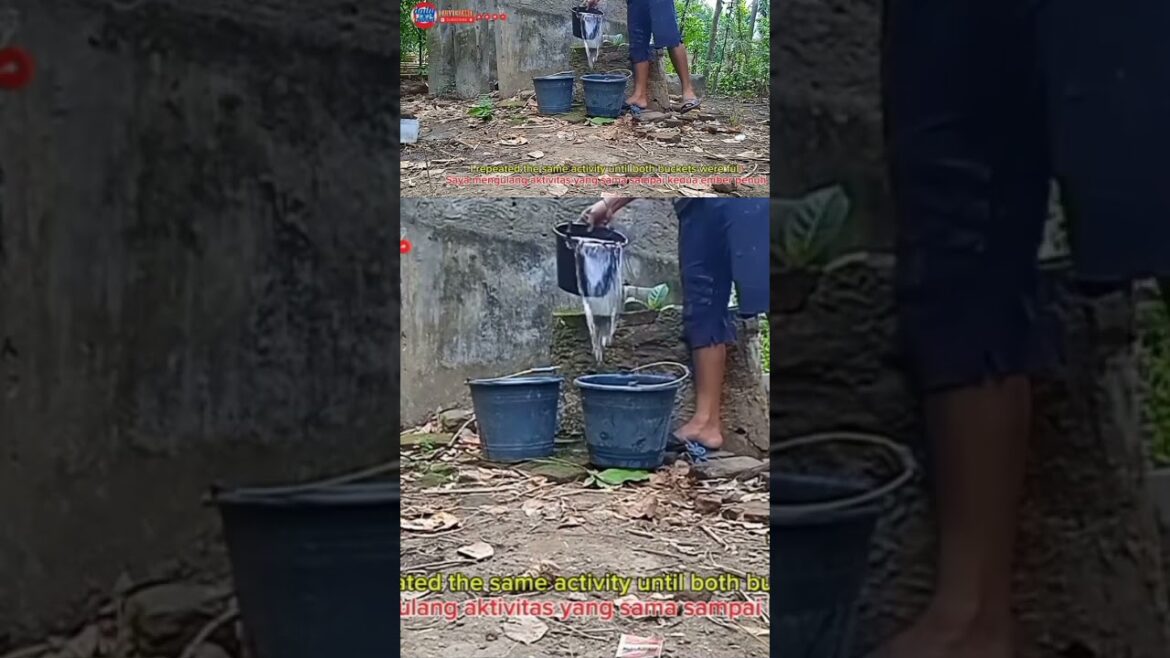 #nature #rural #gardening #farming #farming #shorts