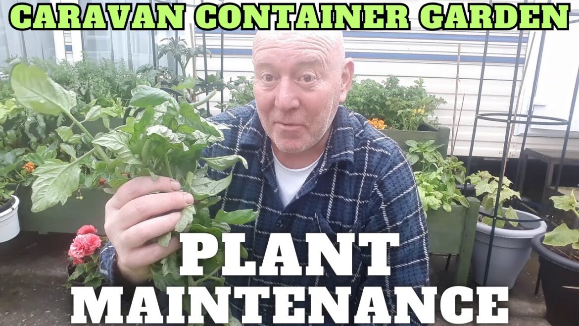 Plant Maintenance Caravan Container Gardening
