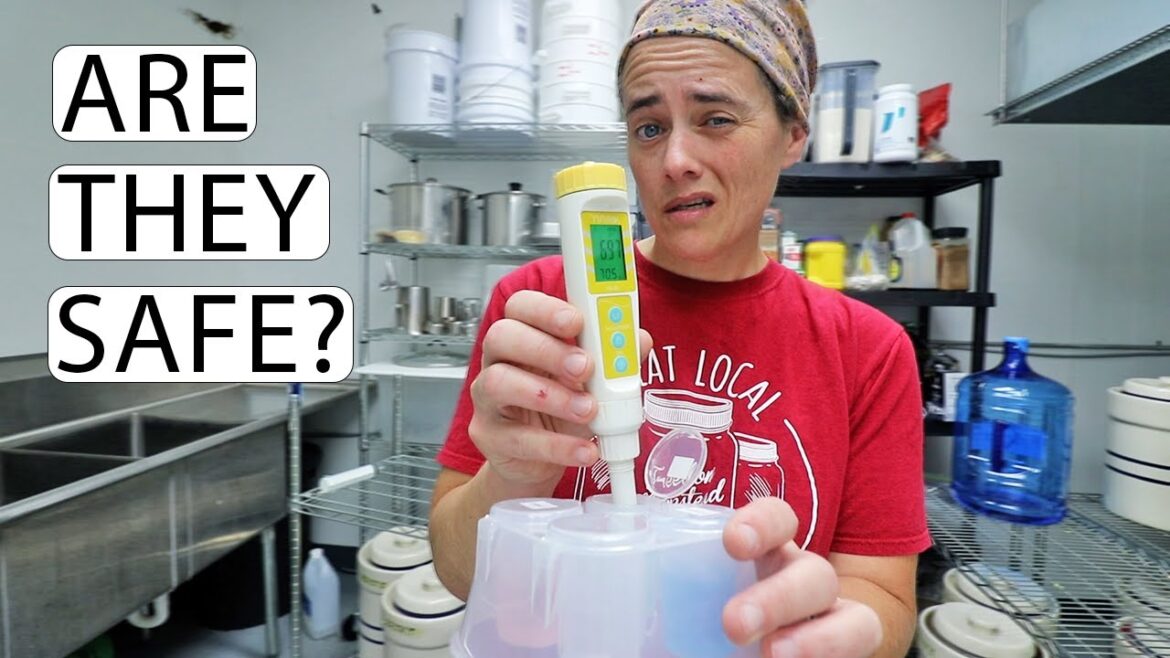 Fermentation Safety | But How Can You KNOW? | Fermented Homestead Fermentation Safety | But How Can You KNOW? | Fermented Homestead