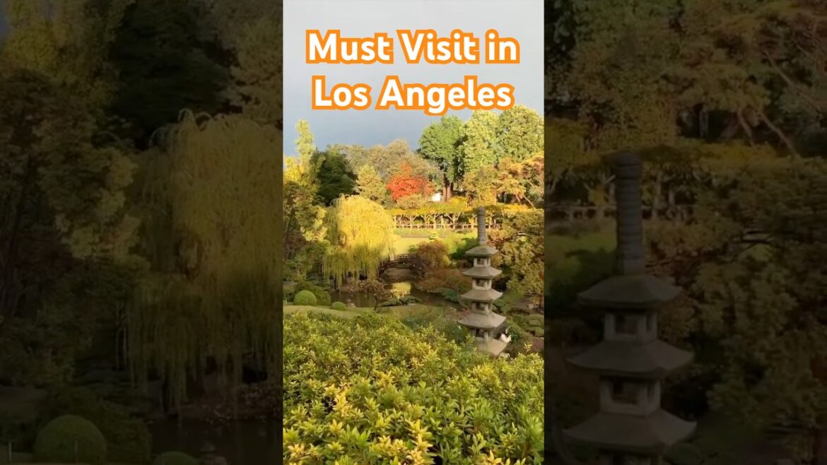 Serene Walk in the Japanese Garden | Huntington Botanical Gardens in December #travel #garden