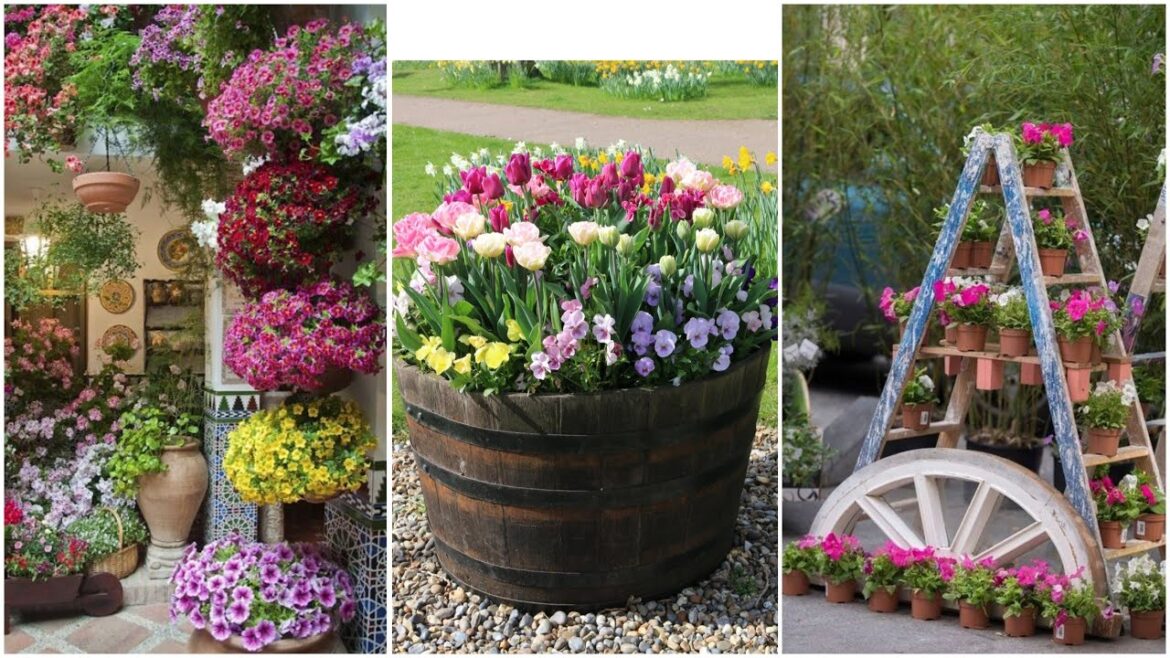 garden design,small garden,garden ideas,garden,small garden design,garden design ideas,small garden