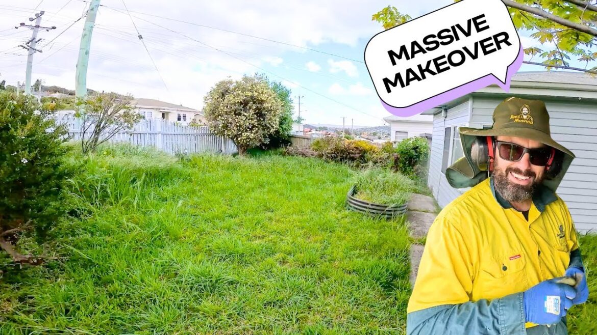 The ULTIMATE Backyard NIGHTMARE: Can we RESCUE IT???