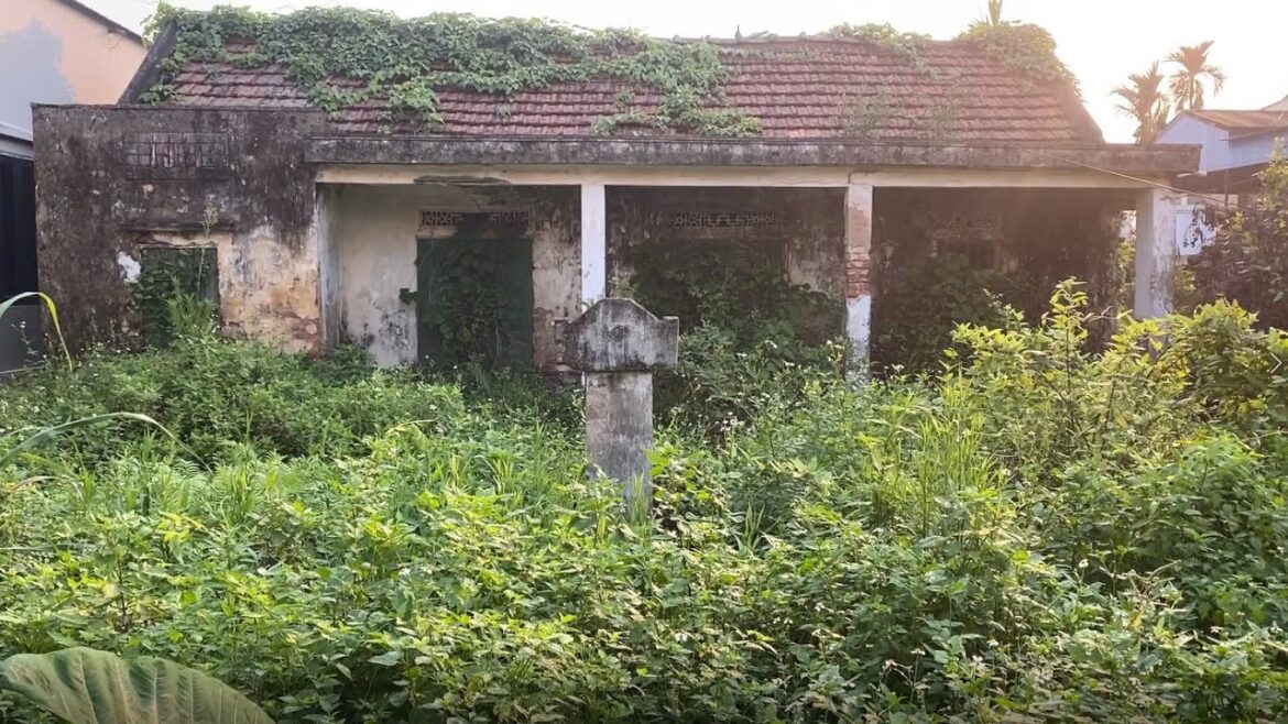 SHOCK ! Cleaning & Renovating Abandoned House With Overgrown Weeds In The Front Yard SHOCK ! Cleaning & Renovating Abandoned House With Overgrown Weeds In The Front Yard