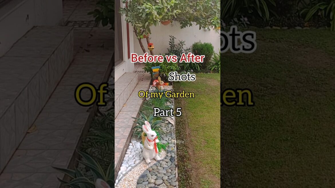 "Before vs. After: Watch my garden go from dream to reality #TransformationJourney #gradenmakeover