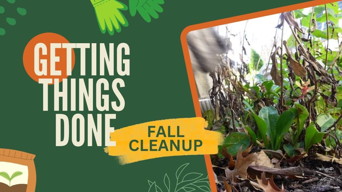 Getting Things Done || Garden Edition || Fall Cleanup
