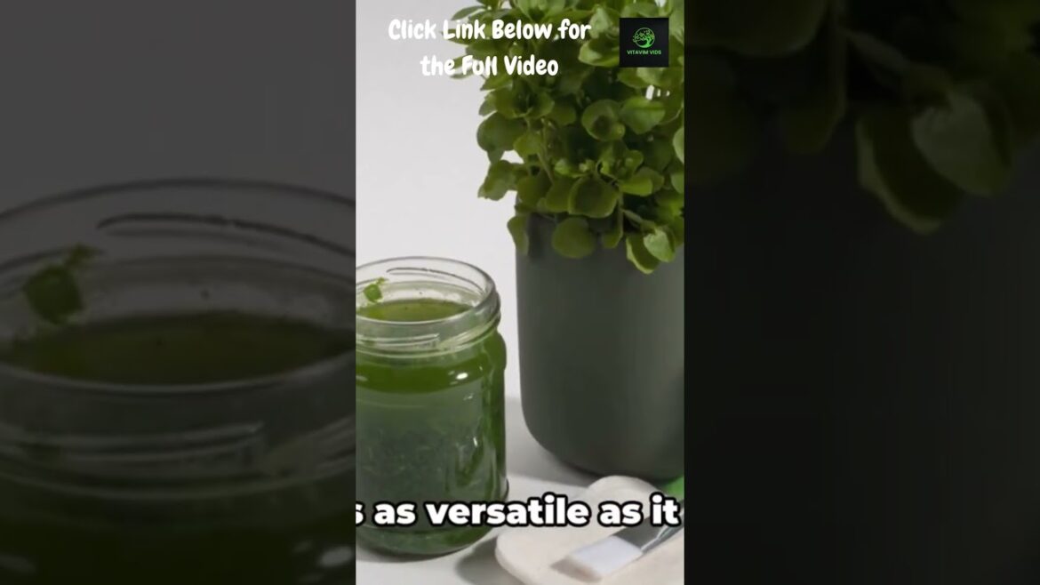 You Won't Believe the HIDDEN Edible Weeds in Your Backyard!