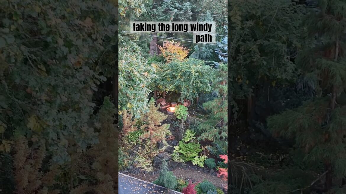 #gardendesign #japanesegarden #japanesemaple #conifer gardenscapes #gardeningtips
