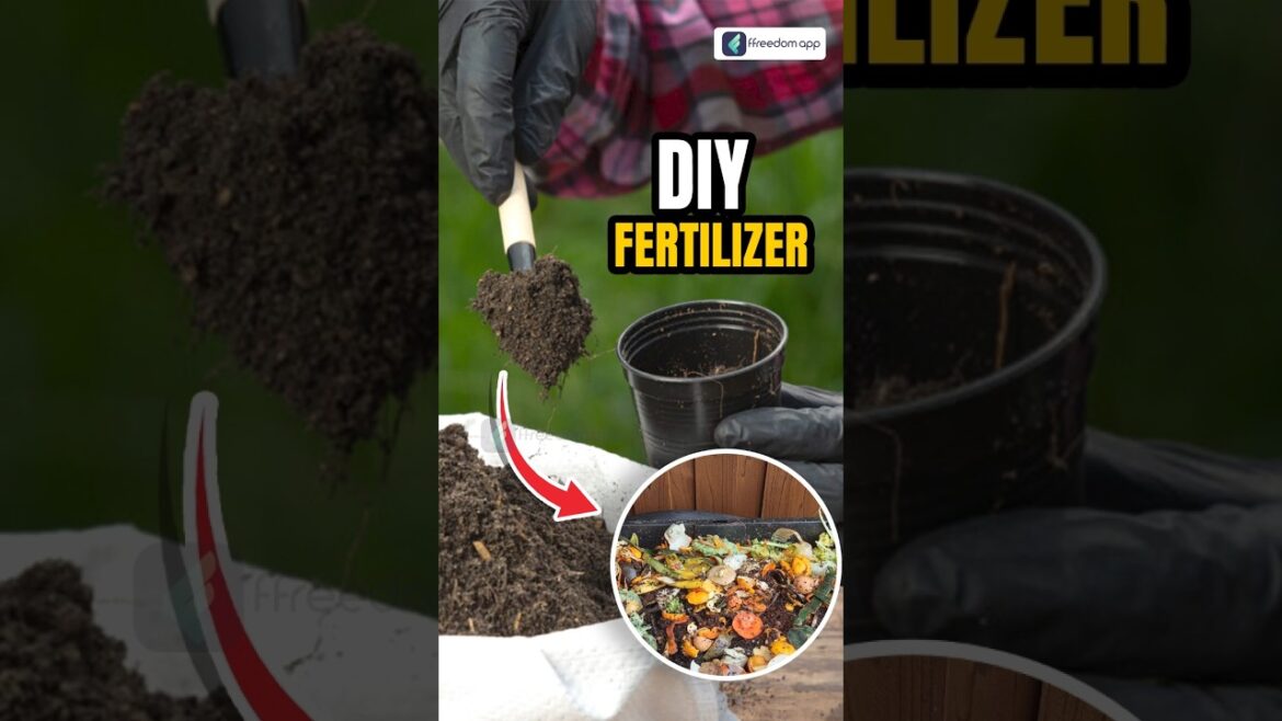 How to Make Homemade Fertilizer? #shorts #fertilizer #homemadefertilizer